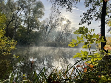 11.11.2022 - Manuela Krautwasser - Nach dem Nebel kommt die Sonne