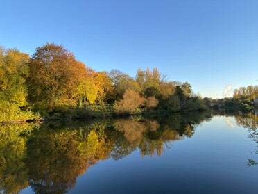 13.11.2022 - Uwe Milbradt - Herbststimmung am Neckar