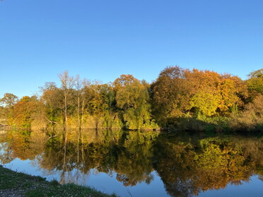 13.11.2022 - Uwe Milbradt - Herbststimmung auf der Vogelinsel