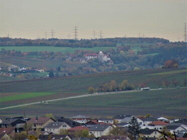 15.11.2022 - Urban Böhner-Stamm - Blick auf Lauffen a.N. und Burg Liebenstein