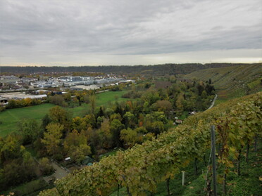 15.11.2022 - Urban Böhner-Stamm - Steillagen