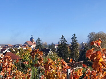 13.11.2022 - Daniela Kenngott - Blick durchs Herbstlaub auf die Kirche