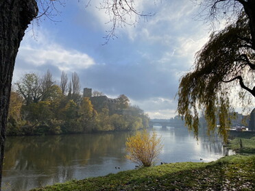 26.11.2022 - Uwe Milbradt - Herbst am Neckar