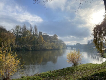 26.11.2022 - Uwe Milbradt - Herbststimmung am Neckar