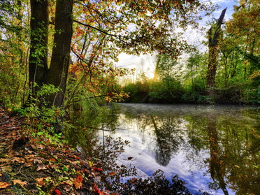 11.11.2022 - Ulrich Seidel - Herbststimmung am Seeloch