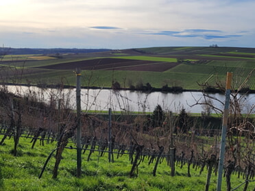 31.12.2022 - Daniela Ullrich - Römerhof mit Blick nach Neckarwestheim