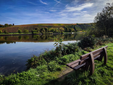 23.10.2022 - Werner Ohsam - Herbst am Neckar