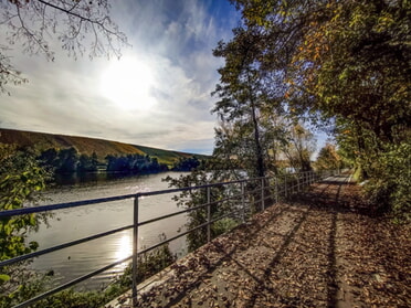 23.10.2022 - Werner Ohsam - Herbstliche Stimmung am neuen Radweg