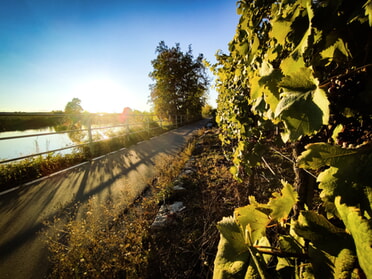 21.09.2022 - Werner Ohsam - Sonnenuntergang am Neckar