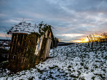 19.01.2023 - Hansjörg Sept - Sonnenuntergang in den Weinbergen