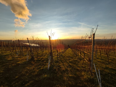 01.01.2022 - Werner Ohsam - Erster Sonnenuntergang 2022