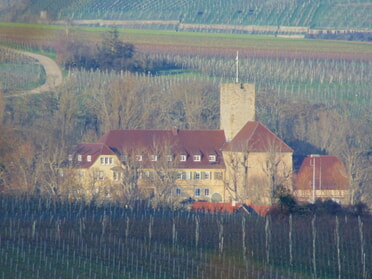 29.01.2023 - Bernhard Müller - Blick von Kirchheim aus auf die Rathausburg