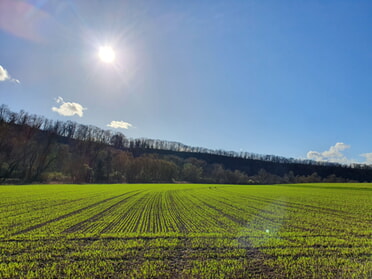 25.03.2023 - Hannah Lorenz - Frühling auf dem Feld