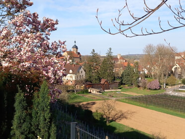 28.03.2023 - Roland Horn - Frühling in Lauffen a.N.