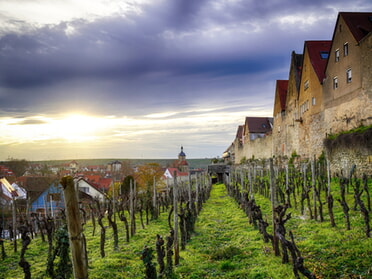 23.03.2023 - Ulrich Seidel - Abendstimmung in Lauffen a.N.