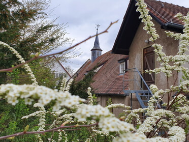 08.04.2023 - Hannah Lorenz - Blick auf den Klosterhof