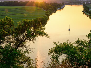 10.06.2023 - Kurt Laitenberger - Goldener Neckar mit Tanzmücken und Segelboot