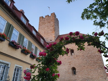 10.06.2023 - Hannah Lorenz - Rathausburg im Abendlicht