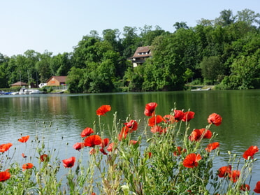 03.06.2023 - Günter Gaida - Morgenspaziergang am Neckar