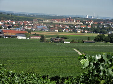 11.08.2023 - Urban Böhner-Stamm - Stadtmauer mit Heilbronn im Hintergrund