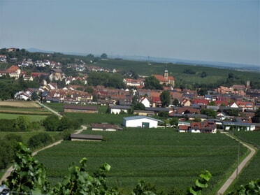 11.08.2023 - Urban Böhner-Stamm - Rathausburg, Regiswindiskirche und Herzog-Ulrich Grundschule