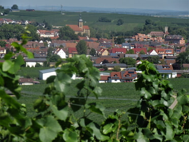 11.08.2023 - Urban Böhner-Stamm - Rathausburg u. Regiswindiskirche