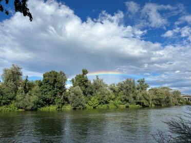 02.08.2023 - Annette Hägele - Regenbogen über der Vogelinsel