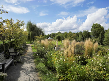 22.09.2023 - Ulrich Seidel - Lamparterpark im Altweibersommer