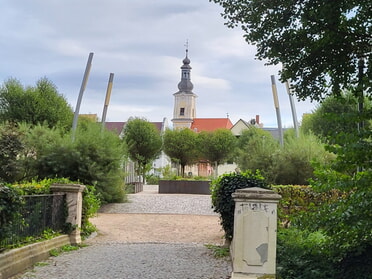 Meuselwitzer Park mit Blick auf die Kirche (Foto: Bettina Keßler)