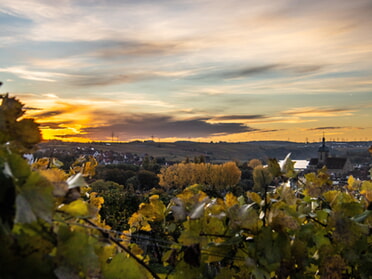 01.11.2023 - Hansjörg Sept - Sonnenaufgang in den Weinbergen