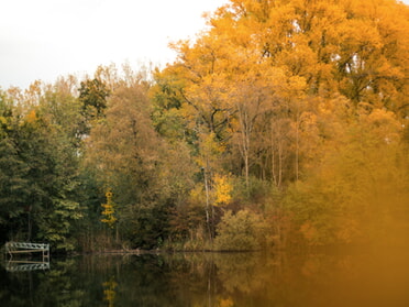 29.10.2023 - Alexandra Lell - Goldener Herbst am Seeloch