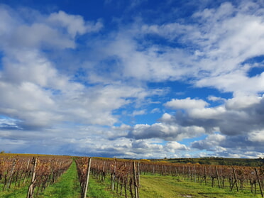 27.10.2023 - Hannah Lorenz - Herbstlicher Himmel über Obere Seugen