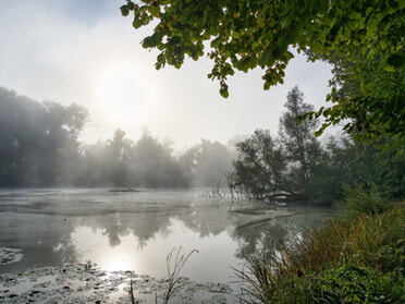 06.10.2023 - Ulrich Seidel - Herbststimmung am Seeloch