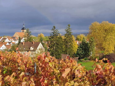 05.11.2023 - Liudmyla Galay - Regenbogen im November