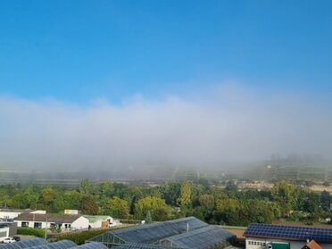 21.11.2023 - Volker Gruber - Nebel in den Weinbergen