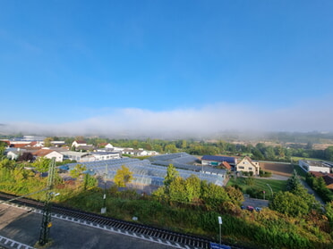 21.11.2023 - Volker Gruber - Nebel in den Weinbergen