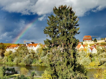 05.11.2023 - Birgit Nollenberger - Regenbogen überm Städtle