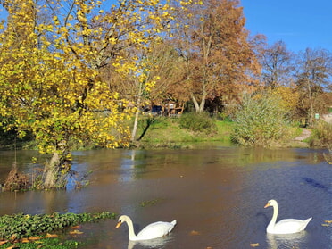 19.11.2023 - Liudmyla Galay - Herbstfarben