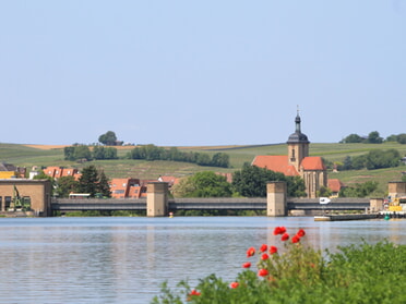 27.05.2023 - Marco Eberbach - Rote Uferblüte vor der Lauffener Kulisse am Neckar