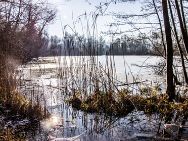 20.01.2024 - Hansjörg Sept - Winterzauber am Seeloch