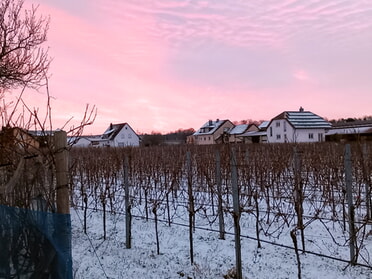 16.01.2024 - Roland Horn - Morgenrot über den Herrenäckern