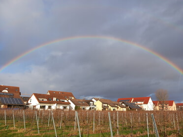 04.01.2024 - Roland Horn - Regenbogen über den Herrenäckern 