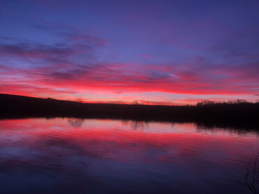 02.02.2024 - Kerstin Weise - Sonnenuntergang im Februar am Neckar