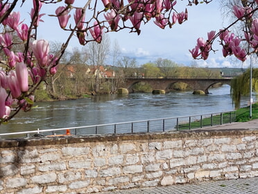 19.03.2024 - Hans-Peter Schwarz - Blick auf die alte Neckarbrücke