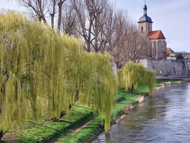 19.03.2024 - Hans-Peter Schwarz - Blick auf die Regiswindiskirche