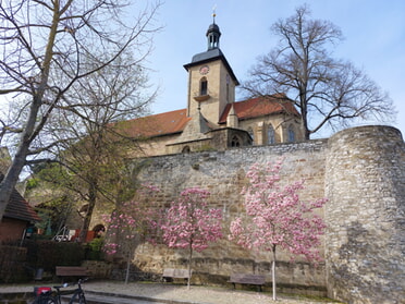 18.03.2024 - Hans-Peter Schwarz - Blick auf die Regiswindiskirche mit Magnolienblüte