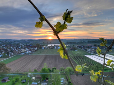 13.04.2024 - Martin Braunbeck - Sonnenaufgang an der verlängerten Katharinenstraße