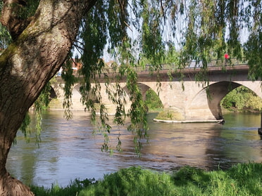 11.04.2024 - Hans-Peter Schwarz - Blick auf die Alte Neckarbrücke