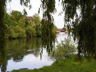29.04.2024 - Roswitha Demmler - So schön ist es am Neckar