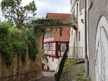 11.05.2024 - Stefan Hautzinger - Kirchbergstraße mit Pfarrhaus